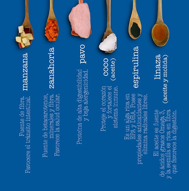 vita-ingredientes