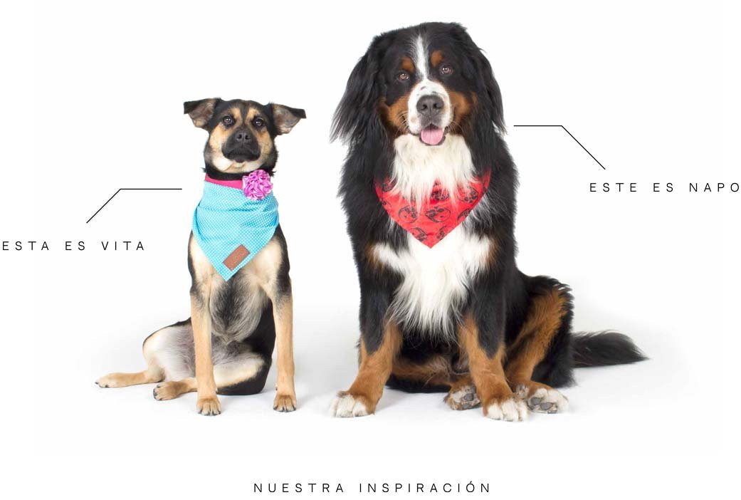 vita-inspiracion